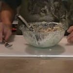 Classic chicken salad in a bowl made with shredded chicken, celery, onion, and creamy mayonnaise.