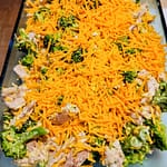 Creamy chicken and broccoli in a rich, cheesy sauce served hot