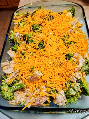 Creamy chicken and broccoli in a rich, cheesy sauce served hot